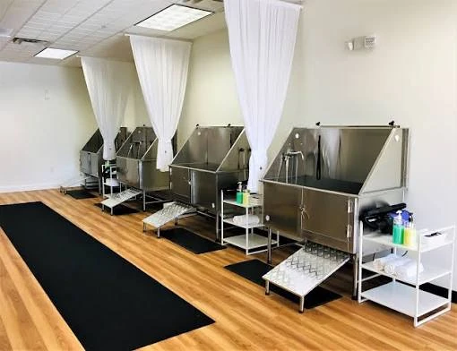 The self-service wash room at Clean & Breezy, with four stainless steel tubs, step-up ramps, towels and shampoo carts